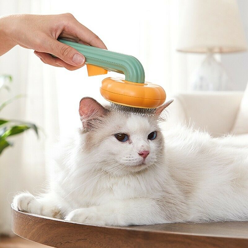 Self Cleaning Pumpkin Brush