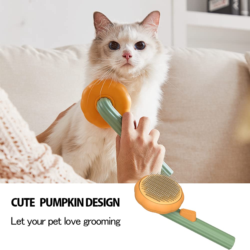 Self Cleaning Pumpkin Brush