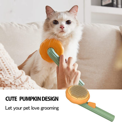 Self Cleaning Pumpkin Brush